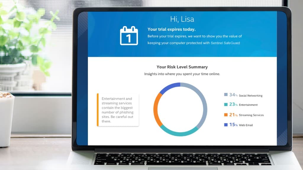 Sentinel SafeGuard Risk Level Summary dashboard with trial expiration and online time insights