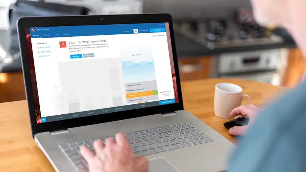 Sentinel SafeGuard trial expired screen with grace period message and activity log